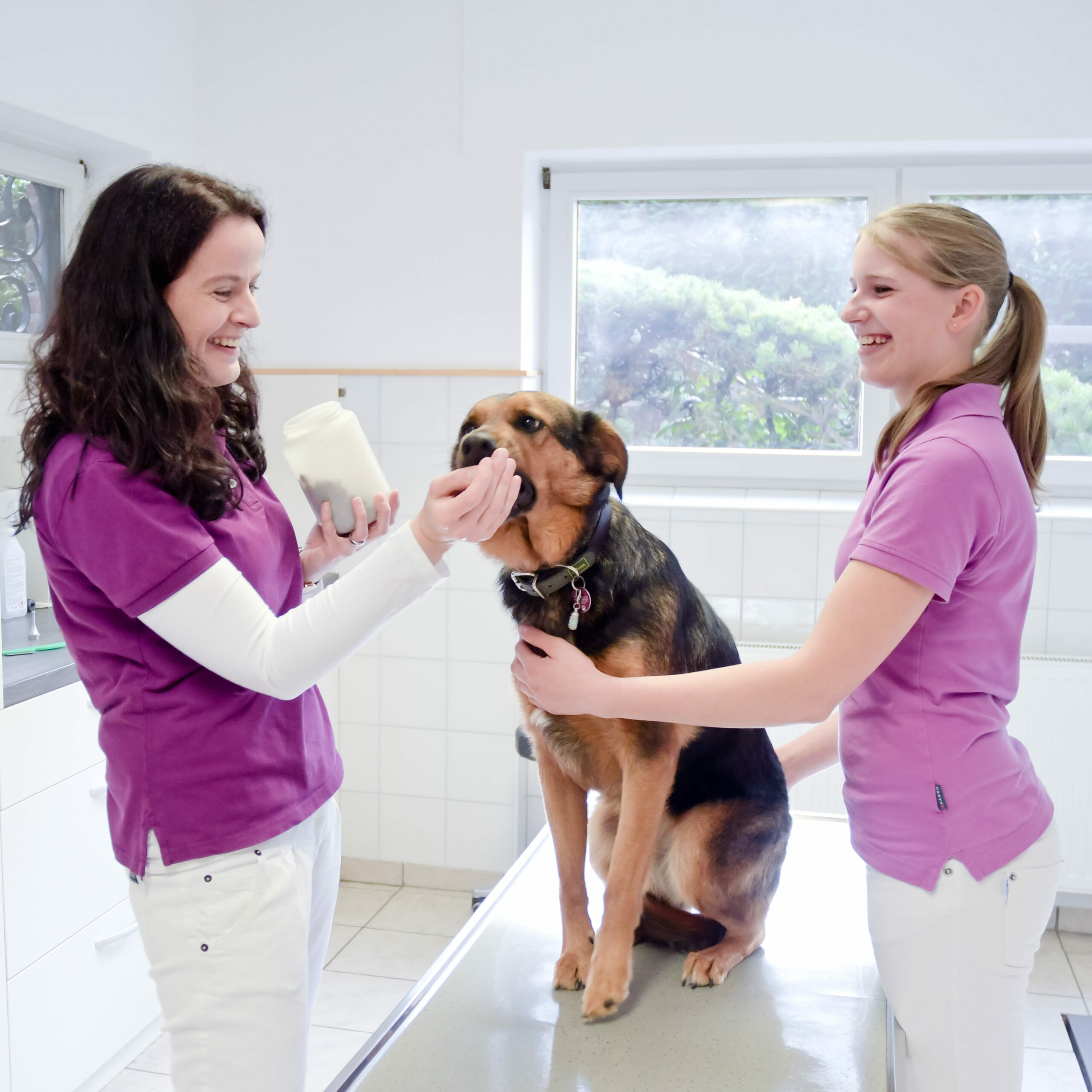 fricke-schwarz-hund-leckerli-tierarztpraxis-neunkirchen