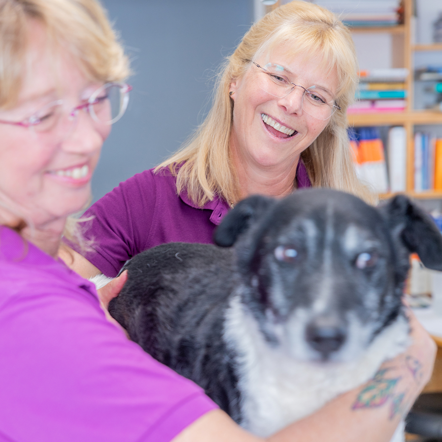 Zwei lächelnde Frauen in lila Hemden halten einen schwarz-weißen Hund in einem hellen Raum mit Regalen und Büchern im Hintergrund. Der Hund ist im Vordergrund, leicht unscharf.