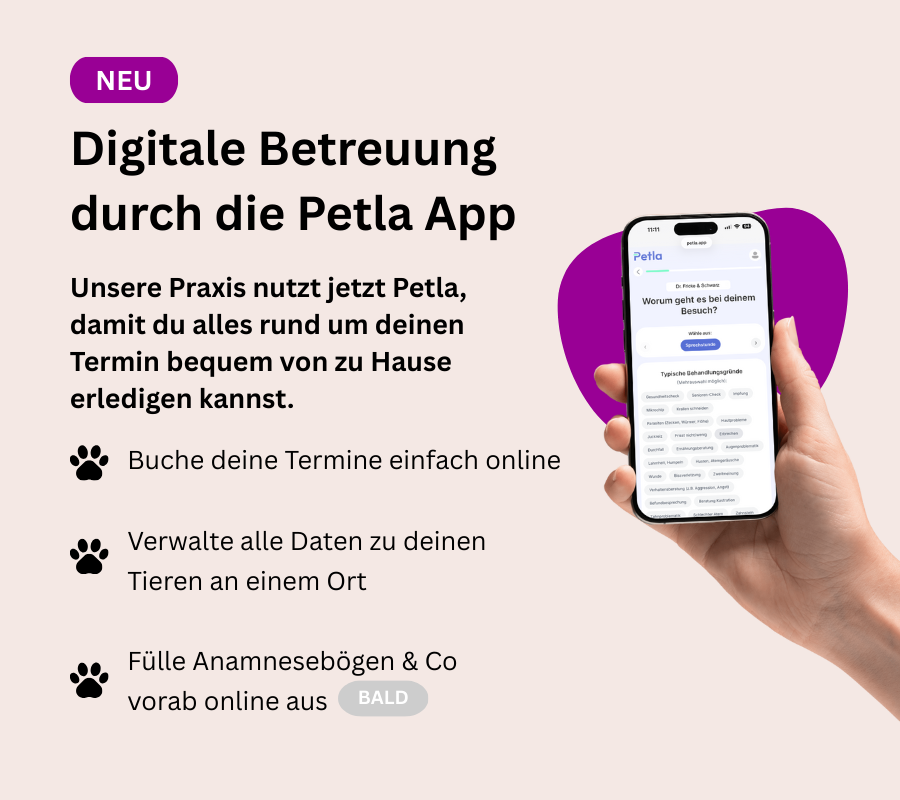 Petla_FRICKE_SCHWARZ_Website_Banner_Mobile